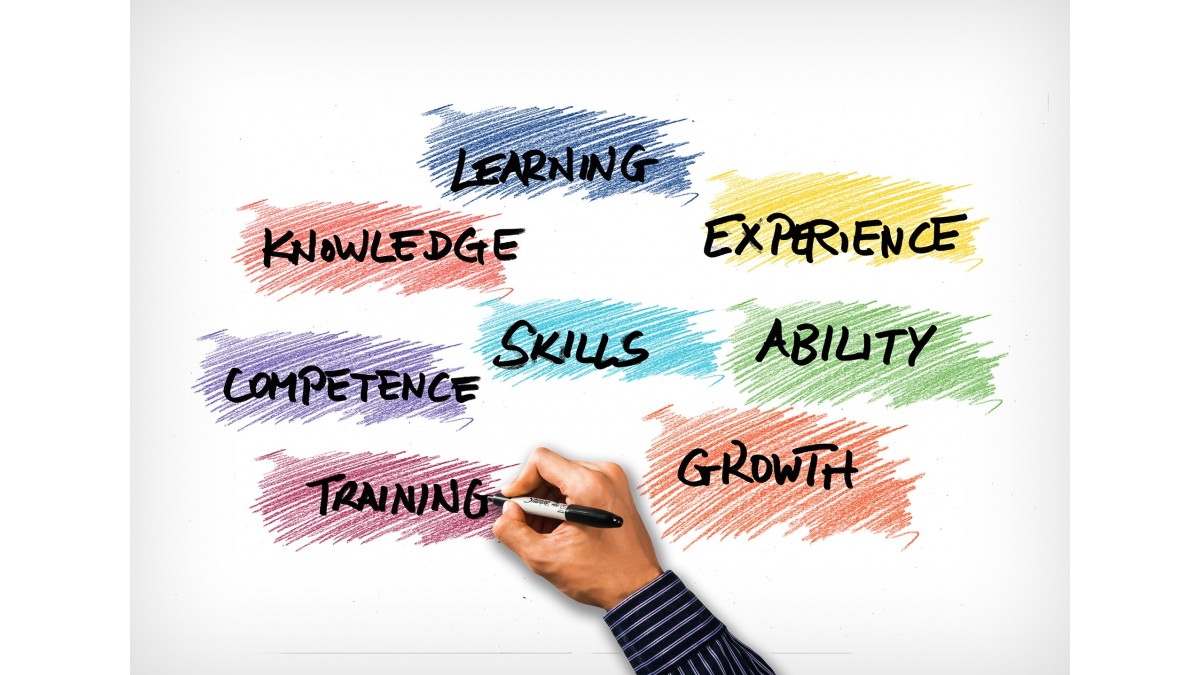 Développement des softs skills | Nos Expertises | WLC Partners